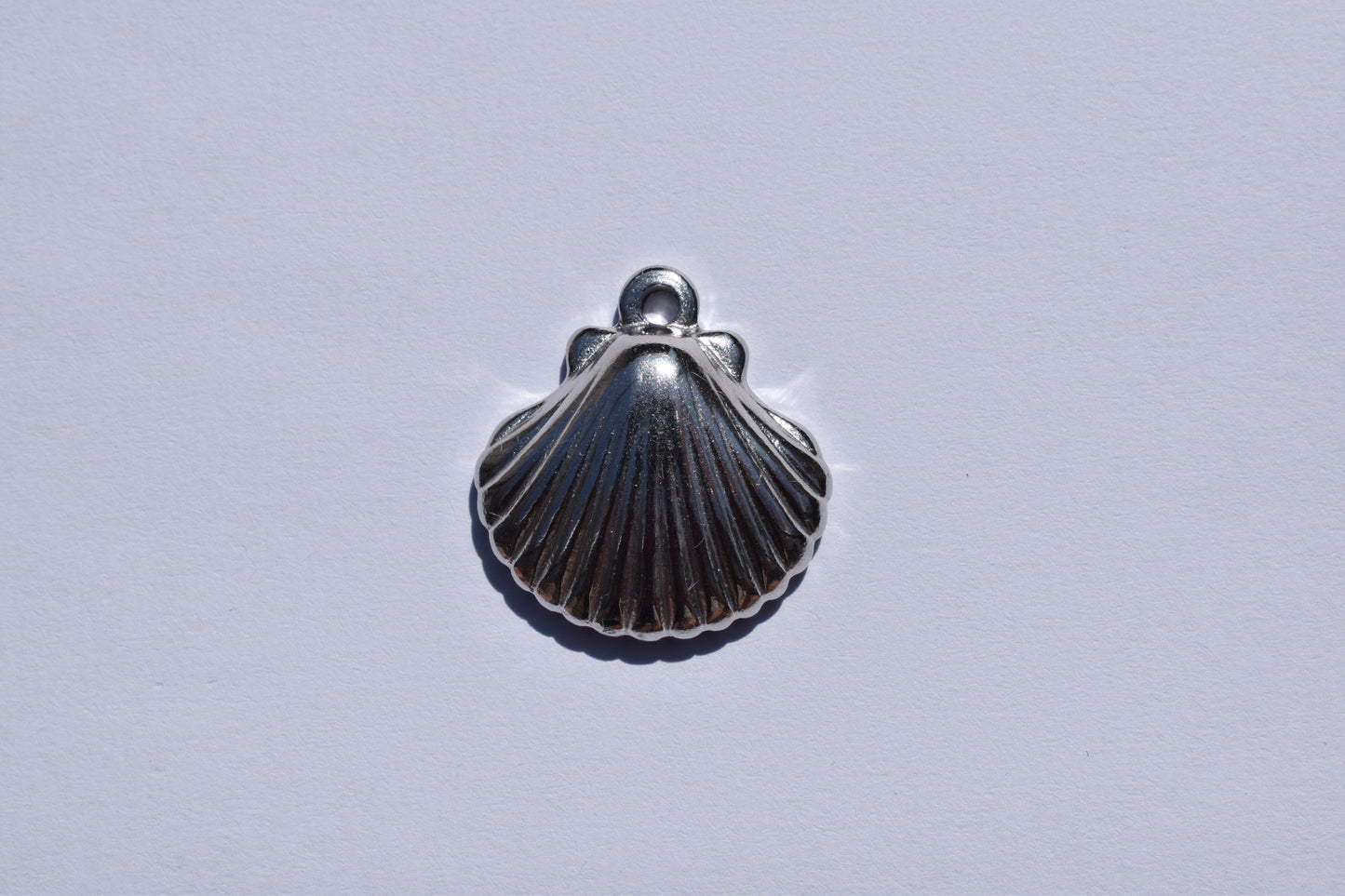 Silver Shell