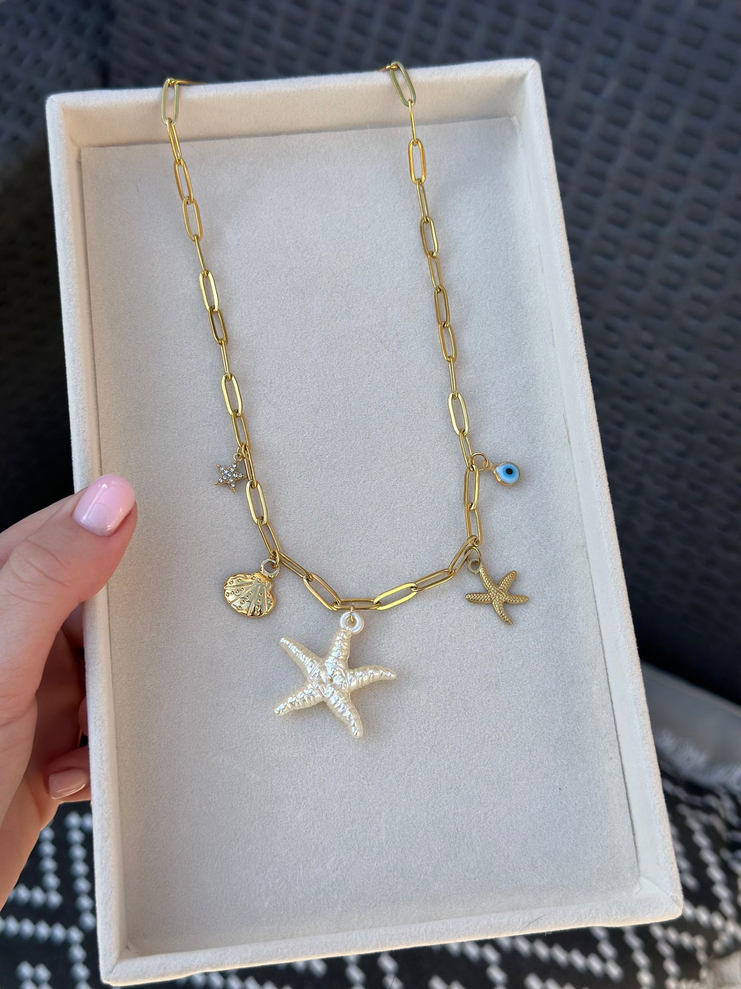 Cream Starfish