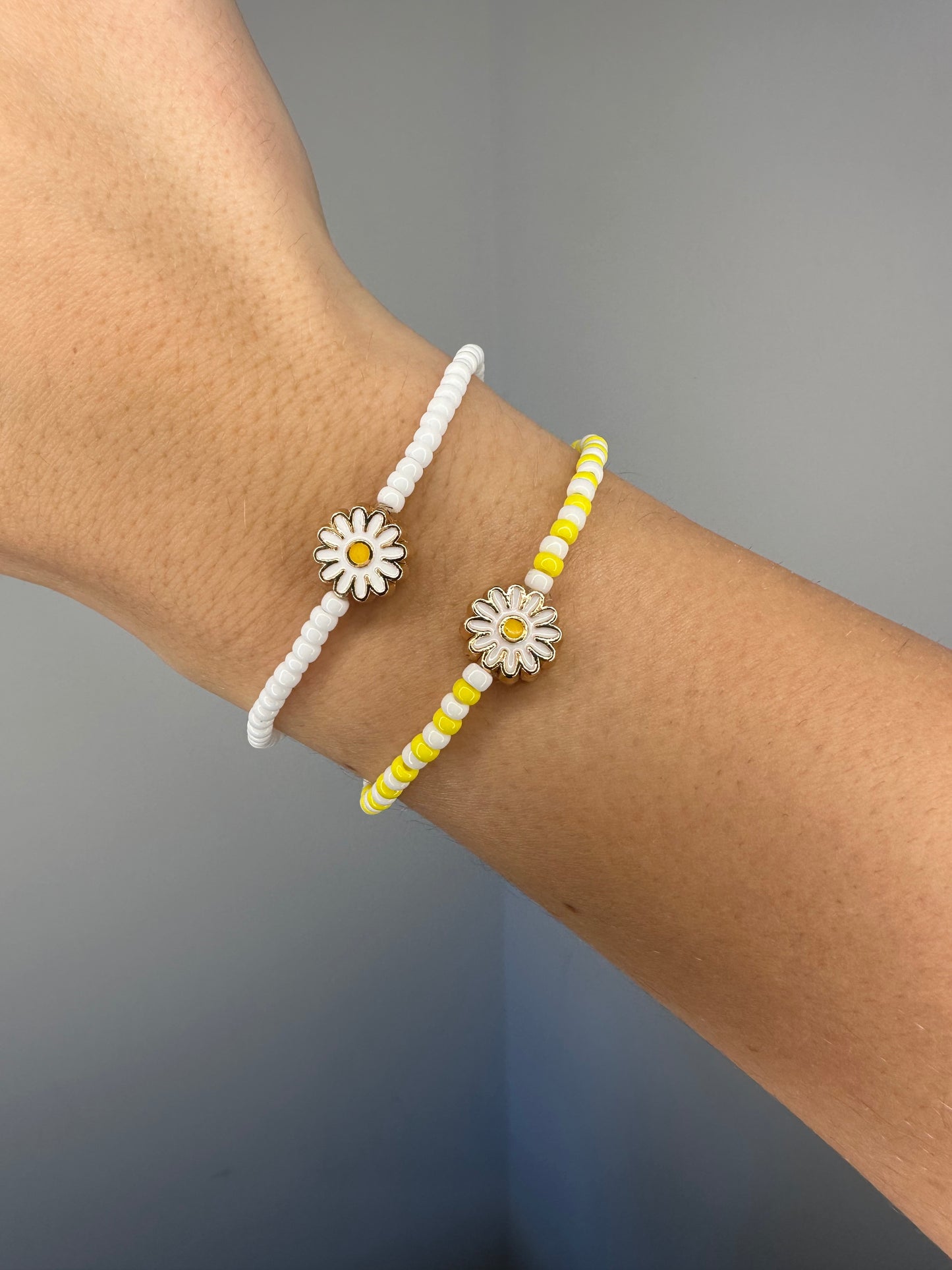 Daisy