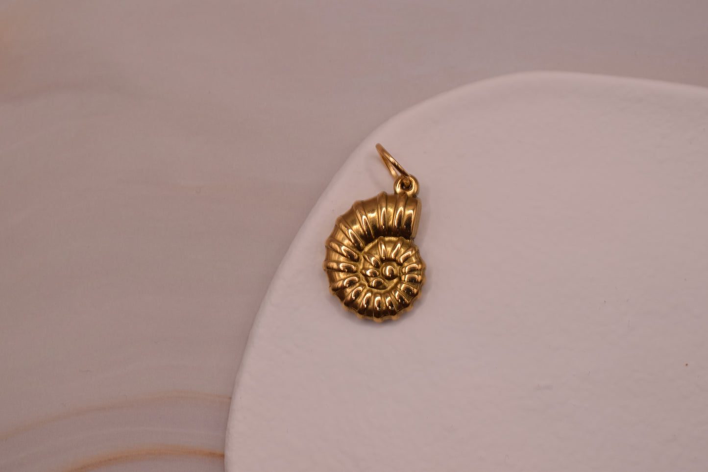 Small Spiral Shell