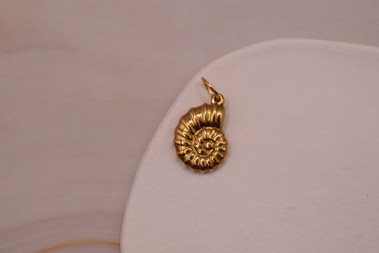 Small Spiral Shell