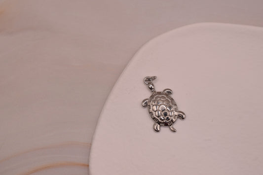 Turtle Silver