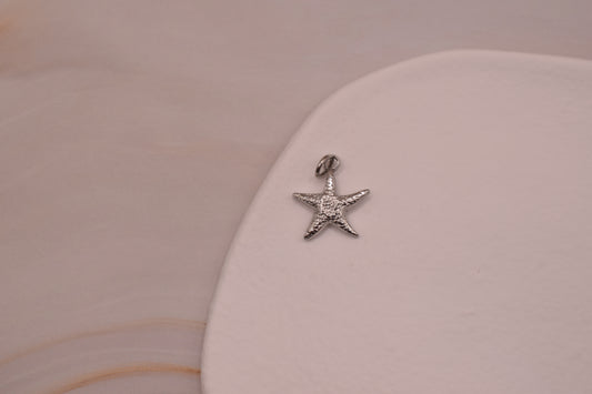 Small Starfish Silver