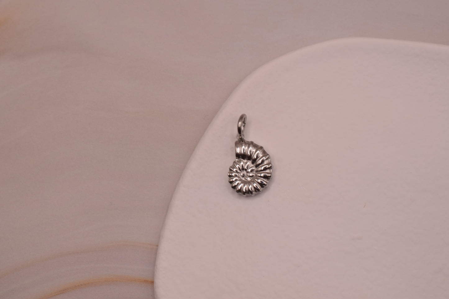 Silver Spiral Shell