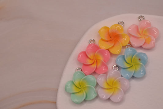 Small Coloured Flower