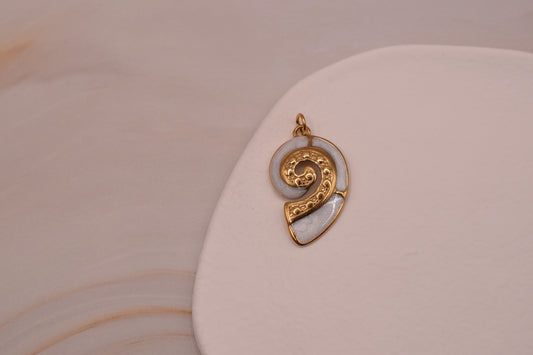 Gold & White Spiral Shell
