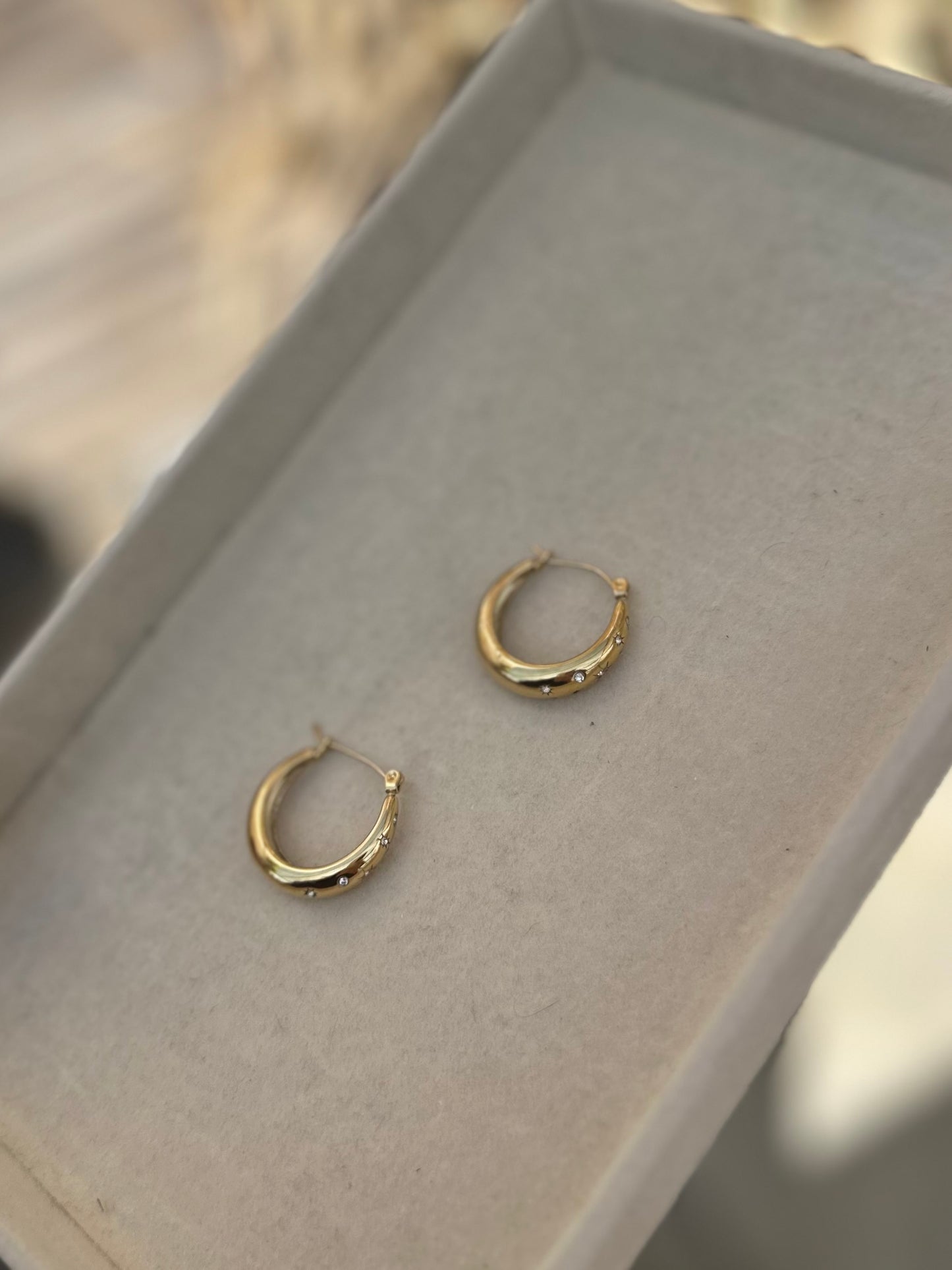 Luna Sparkle Hoop Earrings