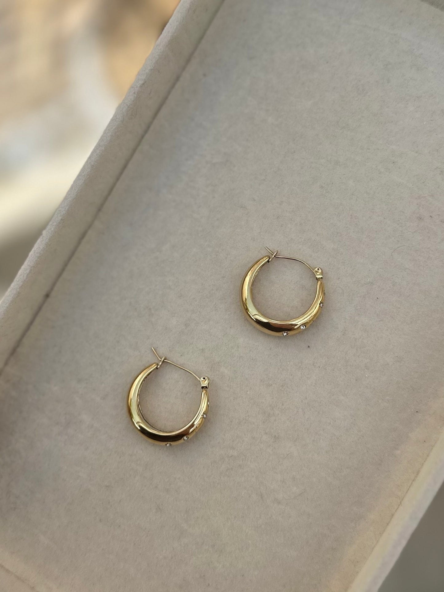 Luna Sparkle Hoop Earrings