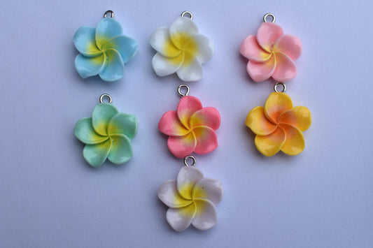 Small Coloured Flower