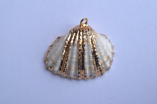 Gold Shell